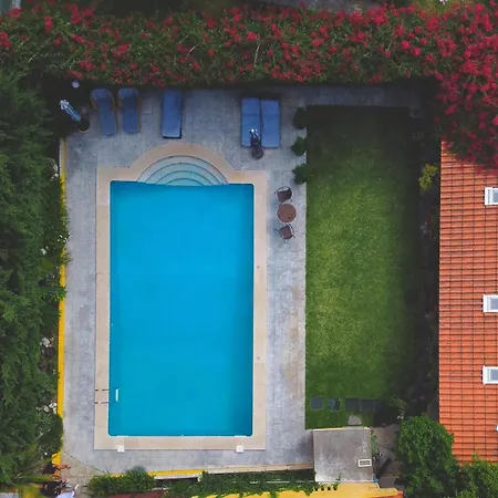 Charming Cozy With Garden & Pool *